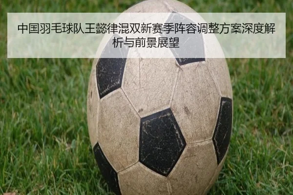 中国羽毛球队王懿律混双新赛季阵容调整方案深度解析与前景展望